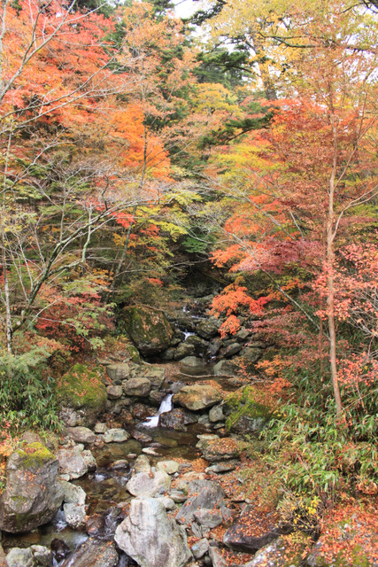 親父山・障子岳・黒岳・三尖_e0206944_18193364.jpg