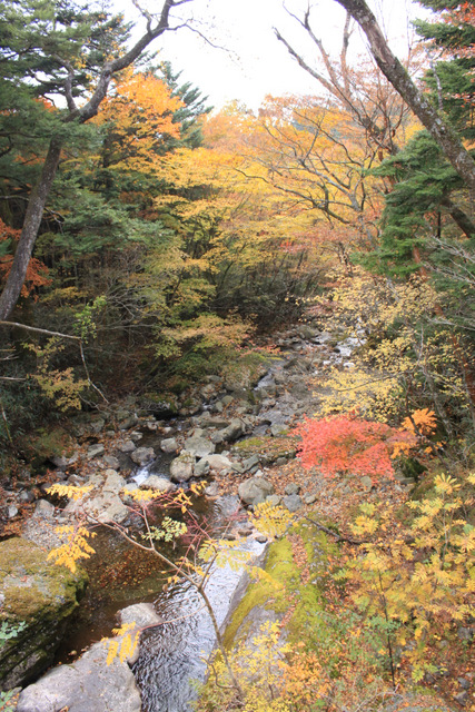 親父山・障子岳・黒岳・三尖_e0206944_18221470.jpg