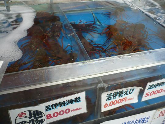 f0090444_15213515.jpg