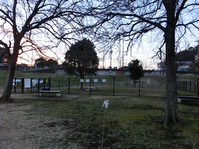 c0156345_2361094.jpg