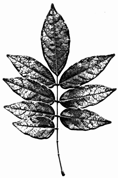 b0232447_23555333.png