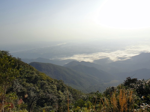c0179351_1054117.jpg