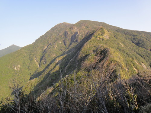 c0179351_106331.jpg