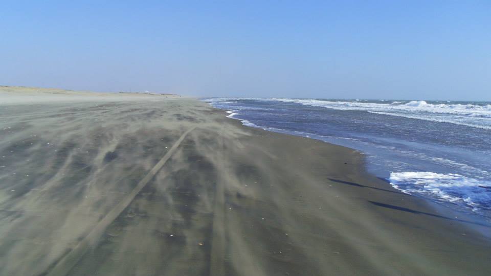 f0156158_10432907.jpg
