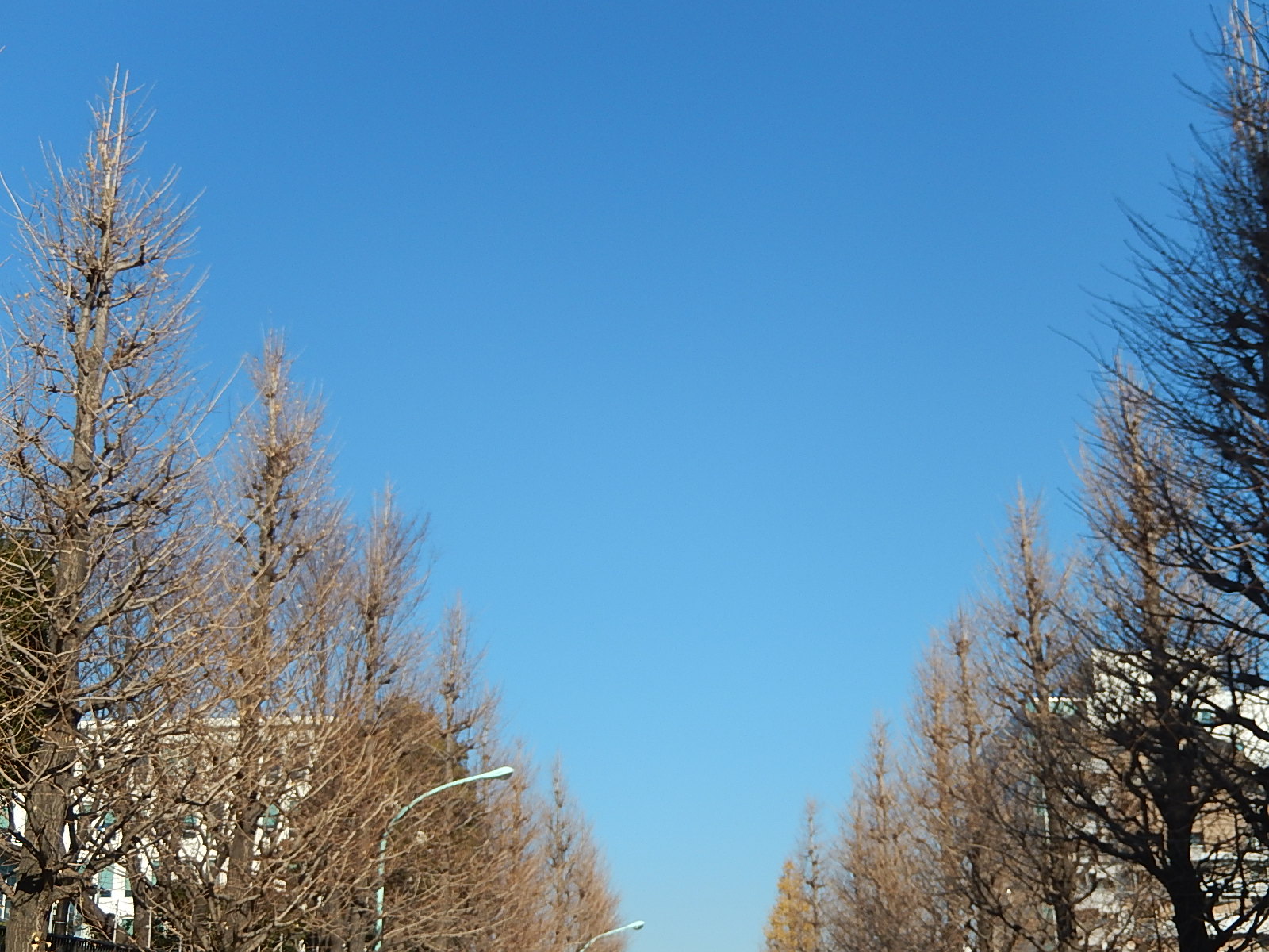 1月7日　渋谷　原宿　の自転車屋　FLAME bike前です_e0188759_11301952.jpg