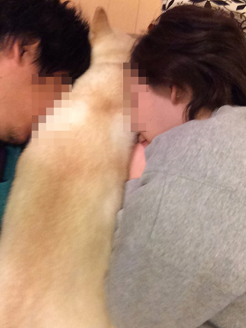 依存と悪循環_d0215369_141884.jpg