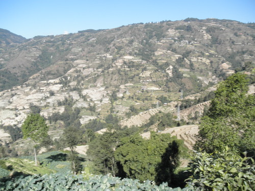 e0155370_2041125.jpg