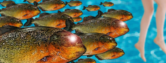 環境の変化で草食魚が肉食魚に進化する 気分はneutral
