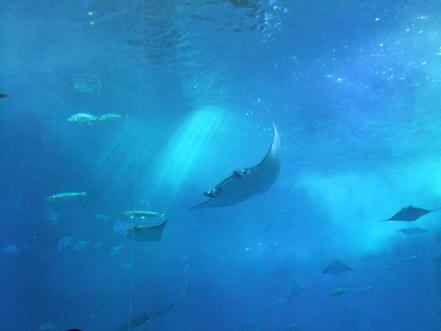 b0208577_13142728.jpg
