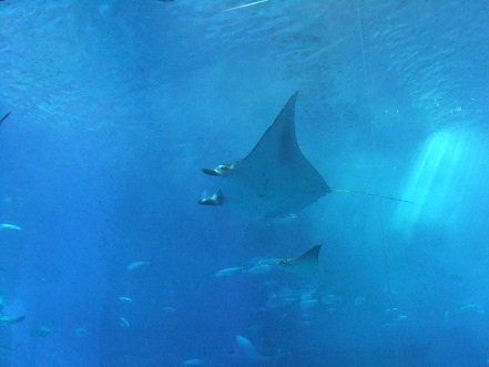 b0208577_13145958.jpg