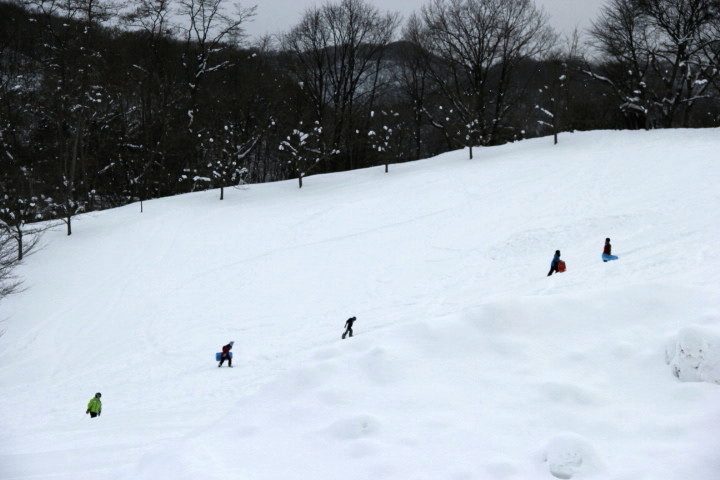 e0068480_1736961.jpg