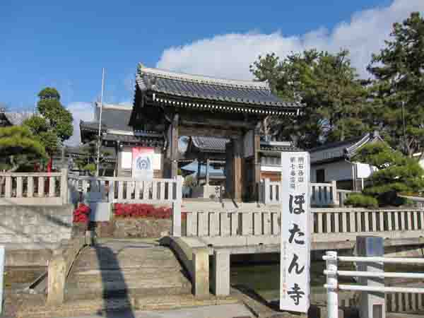清冷山 薬師院 (ぼたん寺)_a0045381_8164561.jpg