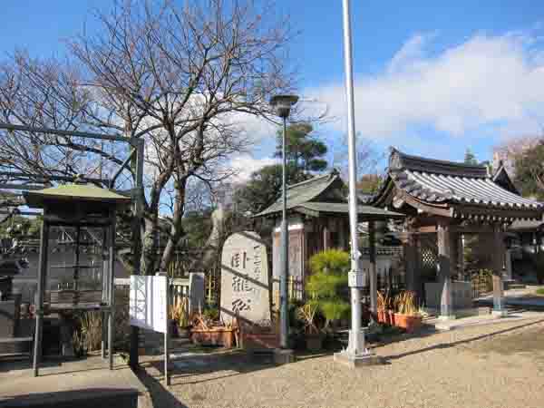 清冷山 薬師院 (ぼたん寺)_a0045381_8412688.jpg