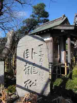 清冷山 薬師院 (ぼたん寺)_a0045381_842693.jpg