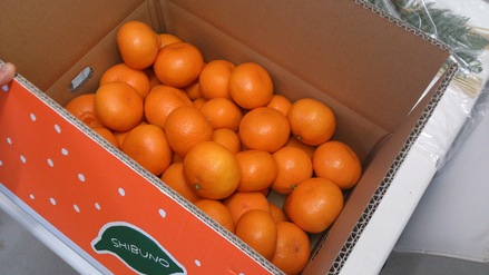 f0172281_6441799.jpg
