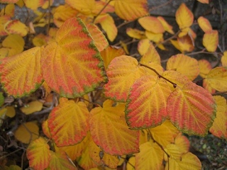 c0229483_17282711.jpg