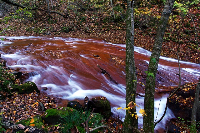 c0324983_23440725.jpg
