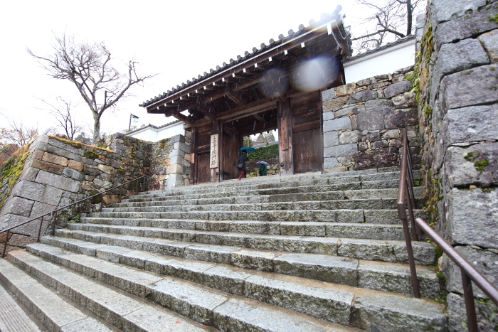 野むら山荘 鳥亭 大原 まねきねこ