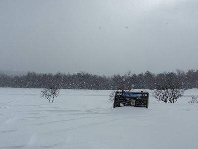 冬の天鏡台は雪だらけ(当たり前ですが)_a0096989_17193689.jpg