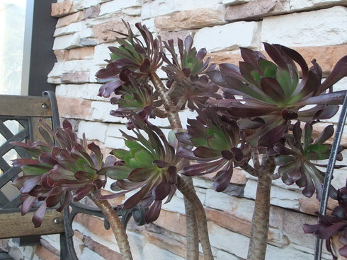 b0230589_1036110.jpg