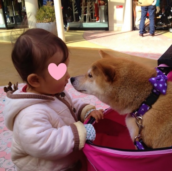 優しいかぼちゃん_a0126590_22214782.jpg