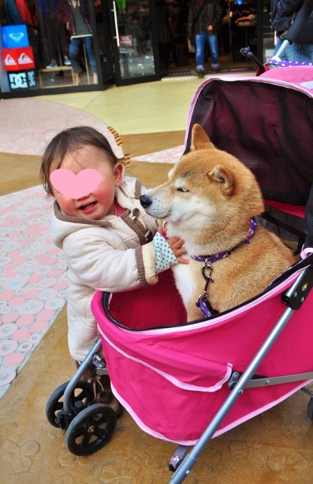 優しいかぼちゃん_a0126590_22245056.jpg