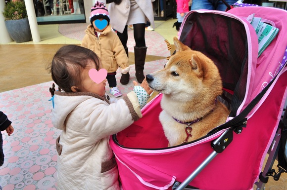 優しいかぼちゃん_a0126590_22252572.jpg