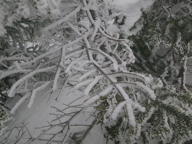 e0271890_01223130.jpg