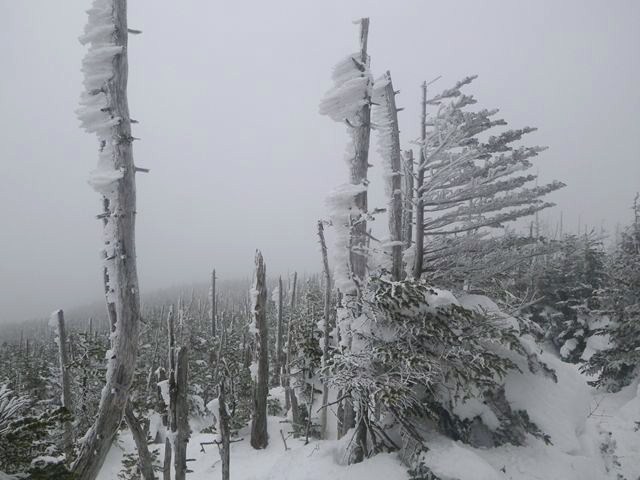 e0271890_11163973.jpg