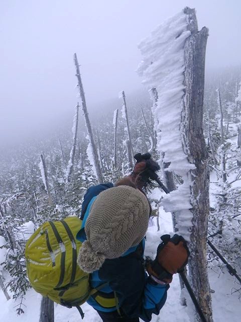 e0271890_11220849.jpg