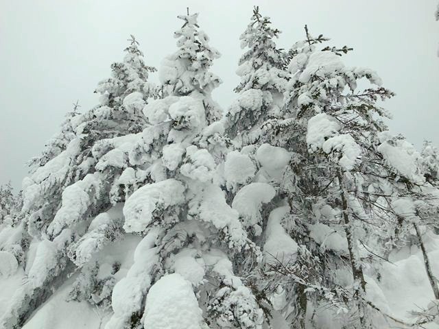 e0271890_14170269.jpg