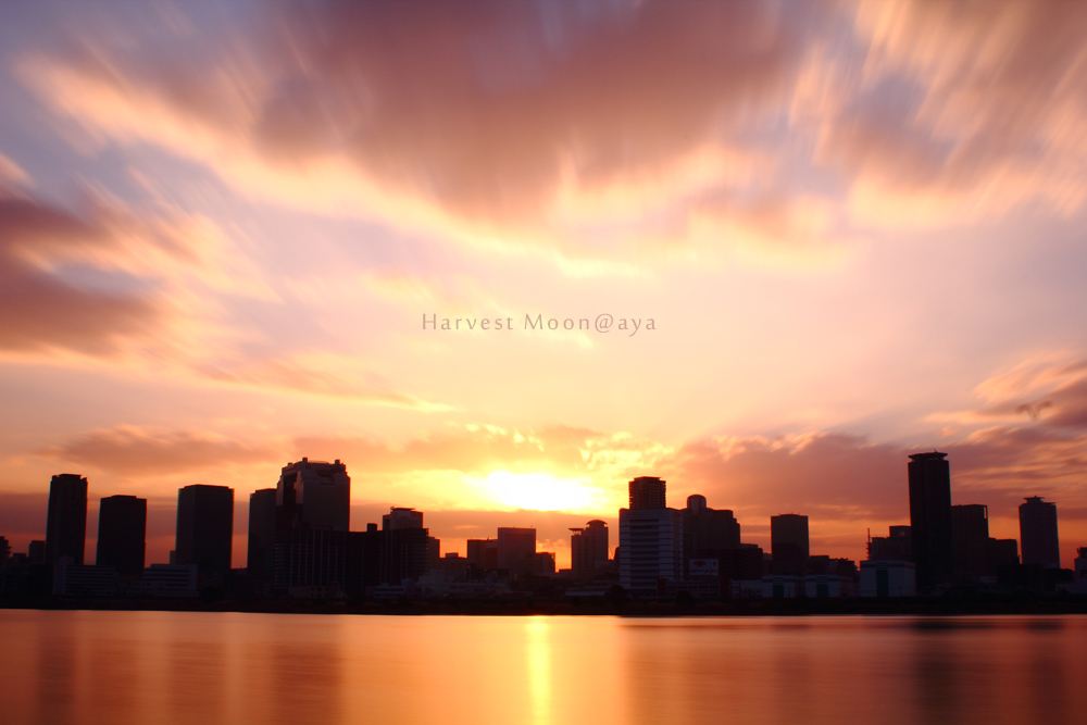 City daylight _b0208495_20303345.jpg