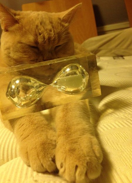 クリコも置き猫に!_c0108595_1245574.jpg