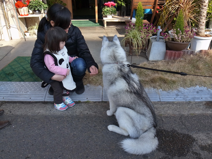 c0049299_15161350.jpg
