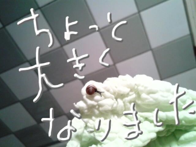 f0024708_4592559.jpg