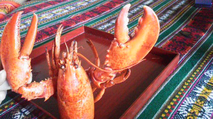 b0182709_8354139.jpg