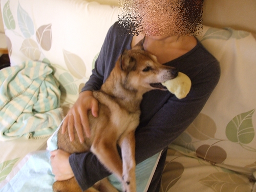 e0188009_8492711.jpg