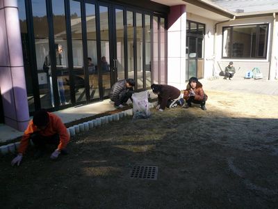 1/7 中庭の花壇にて_a0154110_1373562.jpg