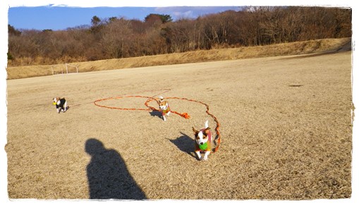 年越しキャンプは朝霧で。_f0129214_15425149.jpg