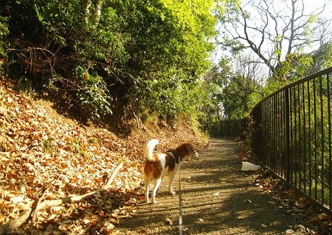 c0084117_182107.jpg