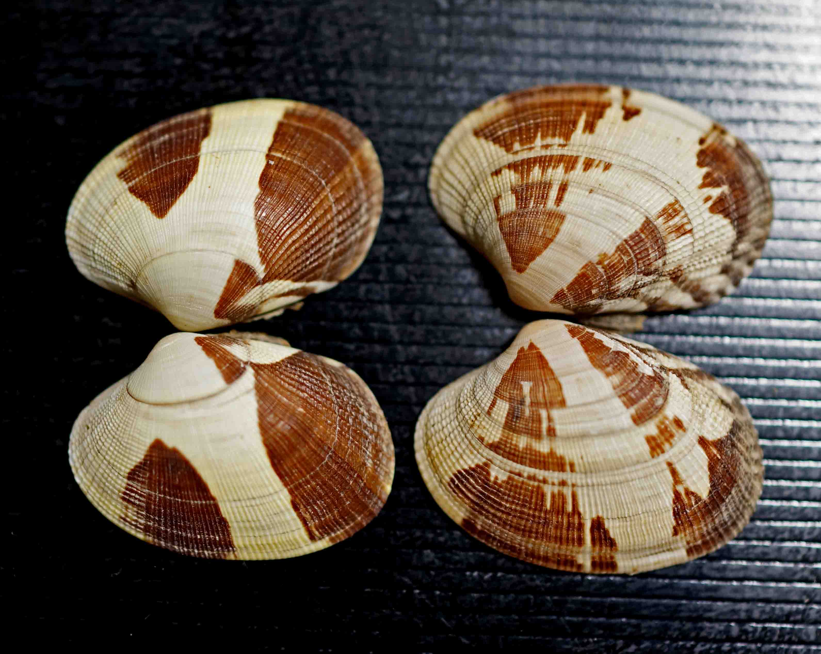 d0156718_11151612.jpg