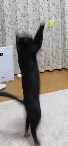 c0280322_17251660.jpg