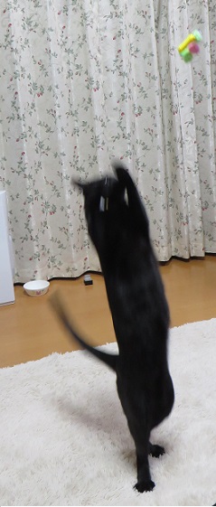 c0280322_17253911.jpg