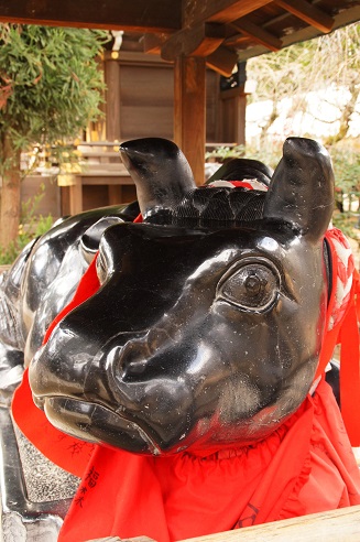 合格祈願 ~北野天満宮(京都)~_c0235725_9233762.jpg