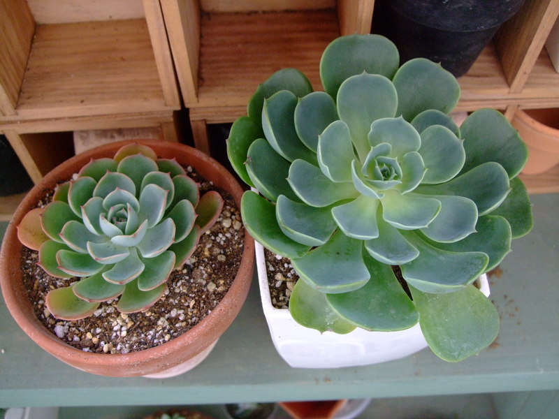 f0243726_11121040.jpg