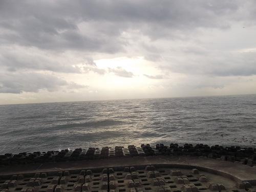 魚を狙う..みさご(魚鷹(うおたか)_b0137932_15401434.jpg