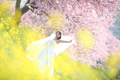 桜のウェディングフォト☆静岡_a0174233_14224995.jpg