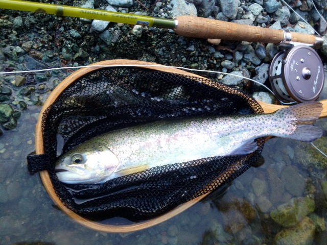 初釣り(ミッジデビュー) その2_c0149633_1923507.jpg