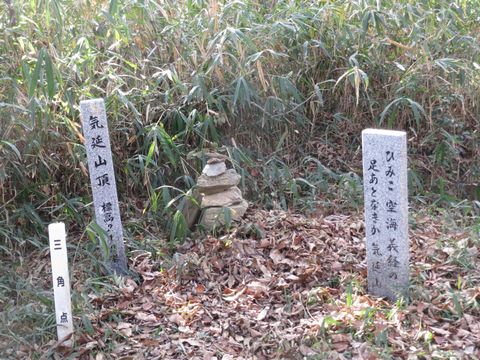 e0060041_735123.jpg