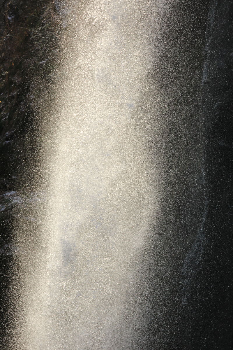 d0135242_21462843.jpg